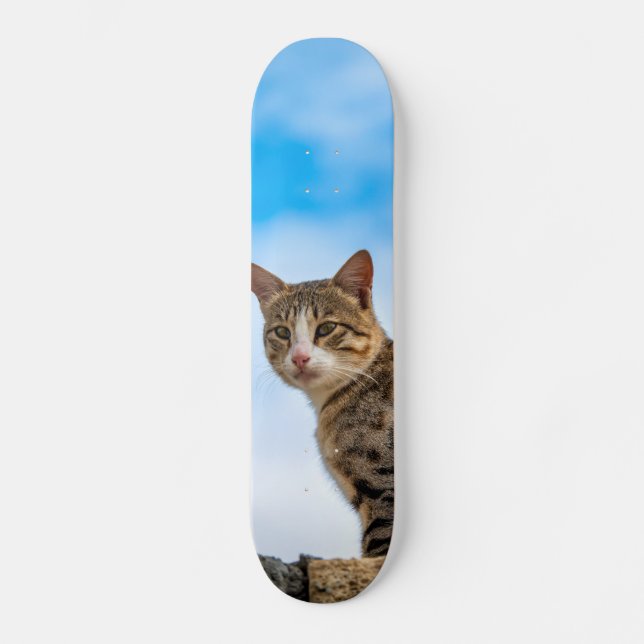 Skateboard Gato en la pared (Anverso)