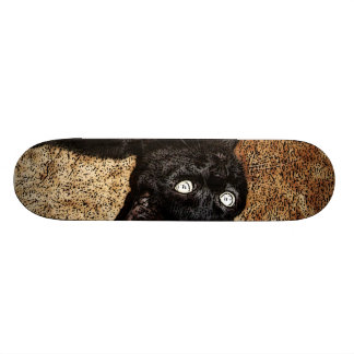 Skateboard gato negro