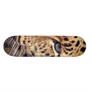 Skateboard Gato salvaje