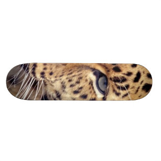 Skateboard Gato salvaje