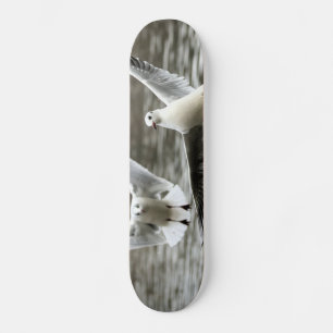 Skateboard Gaviotas en vuelo