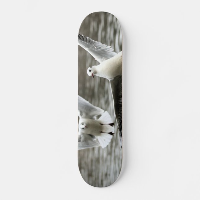 Skateboard Gaviotas en vuelo (Anverso)