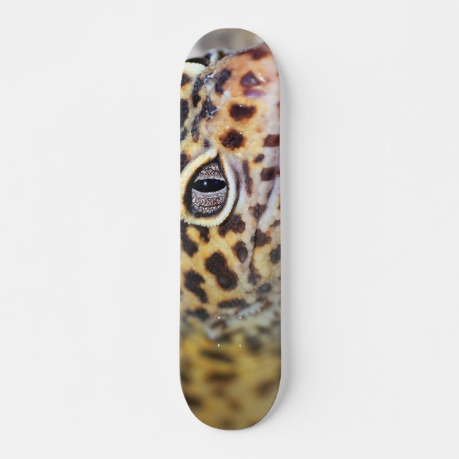 Skateboard gecko del leopardo (Anverso )