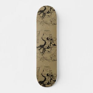 Skateboard Gemini Constellation Hevelius 1690 Engraving