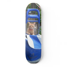 Ginger Cat para patines