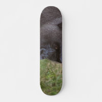 Gorila