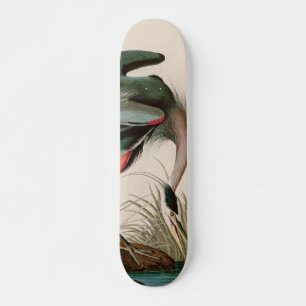 Skateboard Grandes aves de garza azul de América Impresión