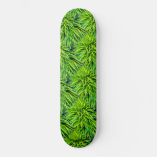 Skateboard Grasa
