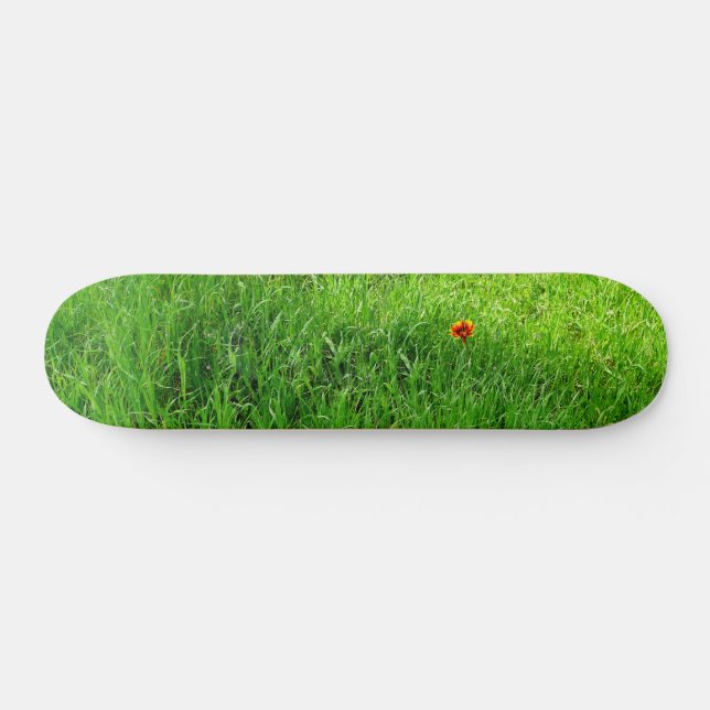 Skateboard Grasa verde (Horz)