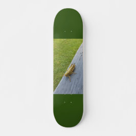 Skateboard Grasshopper