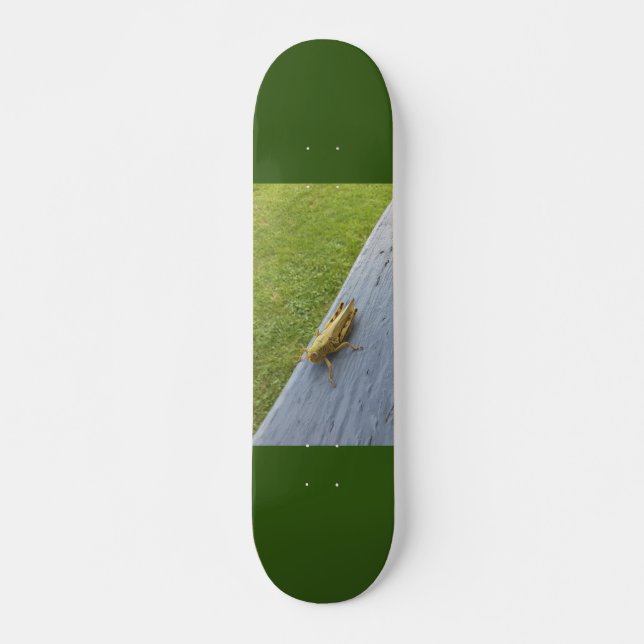 Skateboard Grasshopper (Anverso )