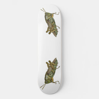 Skateboard Grasshopper verde