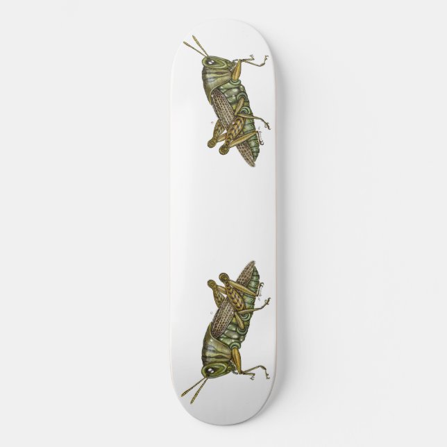 Skateboard Grasshopper verde (Anverso)