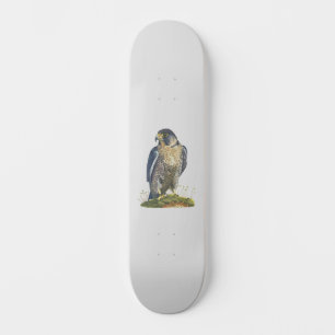 Skateboard Halcón Peregrino