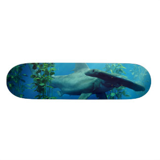 Skateboard Hammerhead