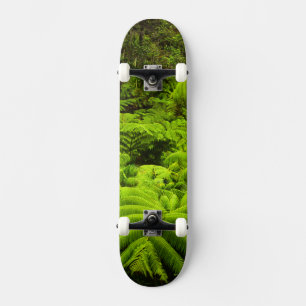 Skateboard Hawái, Isla Grande, Exuberante vegetación tropical