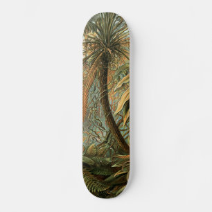 Skateboard Helechos Palma Árbol Antiguo Arte Botánico Helecho