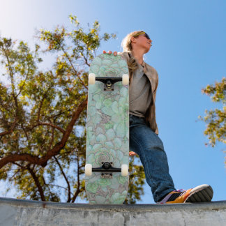 Skateboard Hens And Chicks