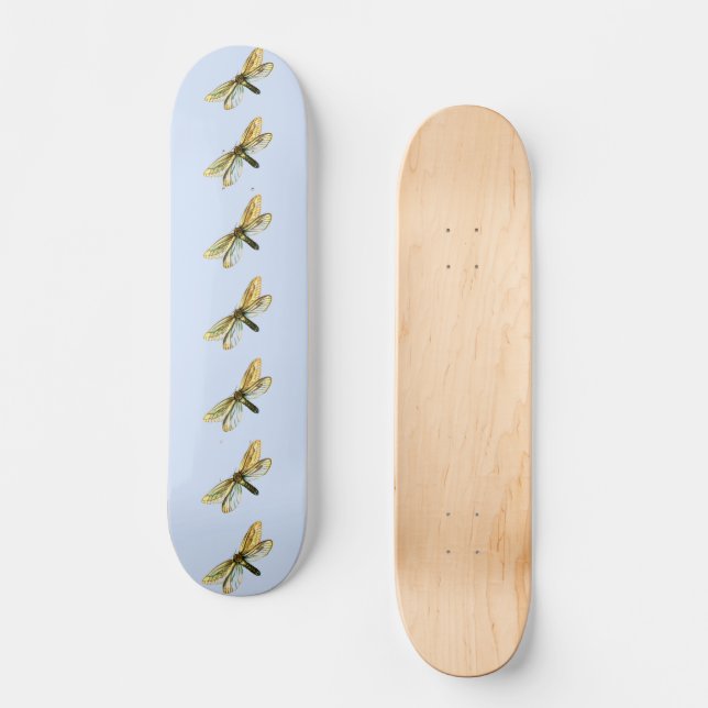 Skateboard Hepialus humuli hembra - Ghost Moth o Ghost Swift (Anverso)