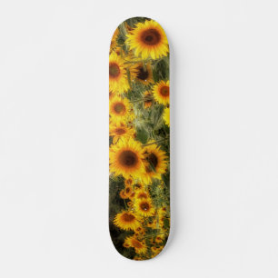 Skateboard Hermosa foto de campo girasol
