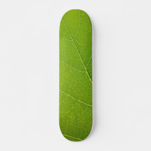 Skateboard Hermosa hoja verde