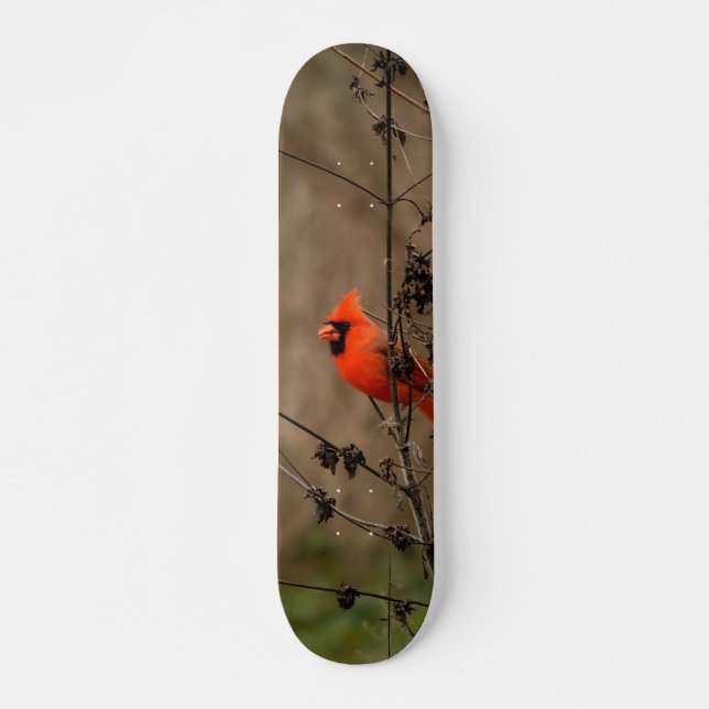 Skateboard Hermoso cardenal norte (Anverso )