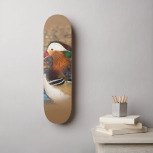 Skateboard Hermoso pato chatty mandarín sobre las rocas