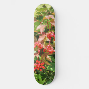 Skateboard Highbush Cranberries