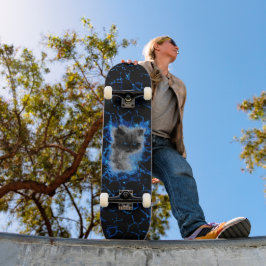 Skateboard Himalayan Cat