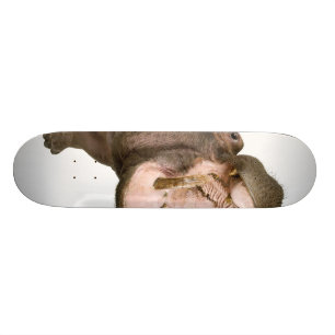 Skateboard Hipopótamo