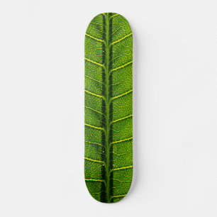Skateboard Hoja