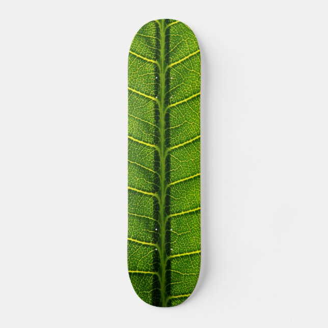 Skateboard Hoja (Anverso)