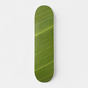 Skateboard Hoja de palmera
