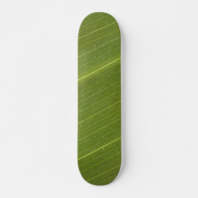 Skateboard Hoja de palmera (Anverso )