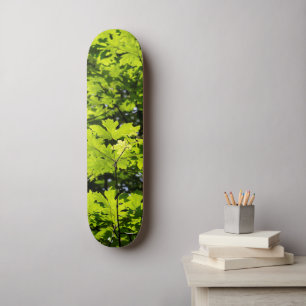 Skateboard Hojas envueltas en el bosque