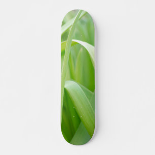 Skateboard Hojas Frescas de Planta Verde