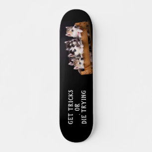 Skateboard Huski Pups en una caja recibe trucos o muere trata