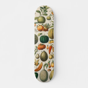 Skateboard Ilustracion científico botánico de frutas