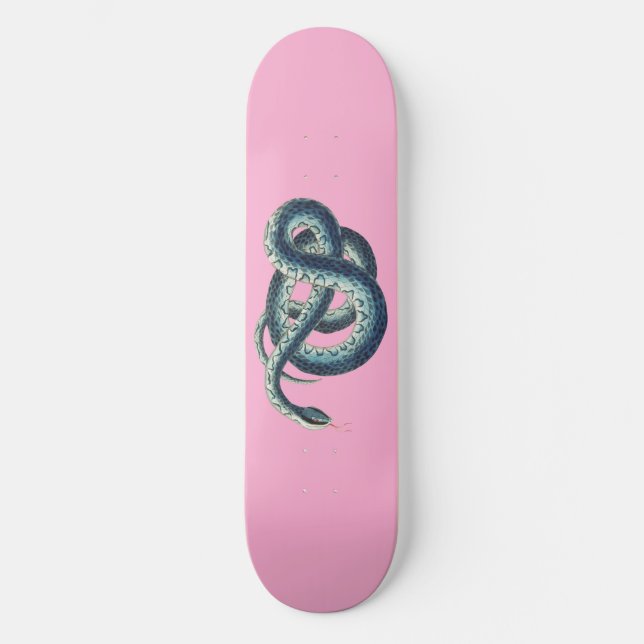 Skateboard Ilustracion de serpiente azul de época sobre rosa (Anverso)