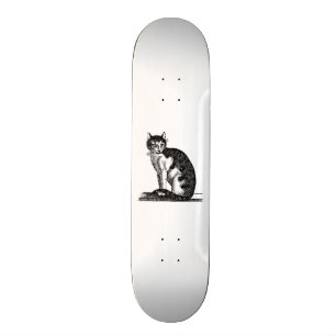 Skateboard Ilustracion del gato de casa de los 1800s del