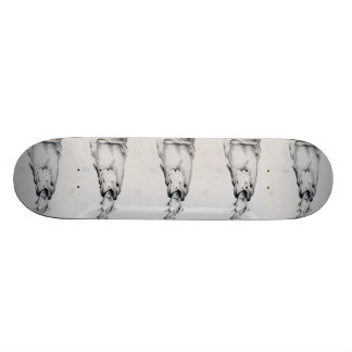 Skateboard Ilustraciones que ganan de A. Riley, grado 11
