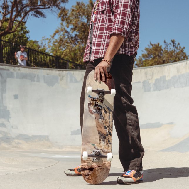 Skateboard imagen de leopardo nublado naturaleza vida salvaje (Exterior 2)