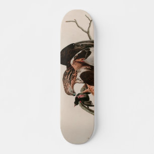 Skateboard Impresión Audubon de las aves del Halcón con las