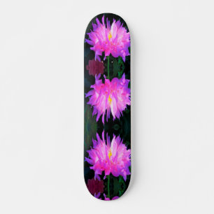 Skateboard Impresionante Cactus Dahlia Rosa y Púrpura