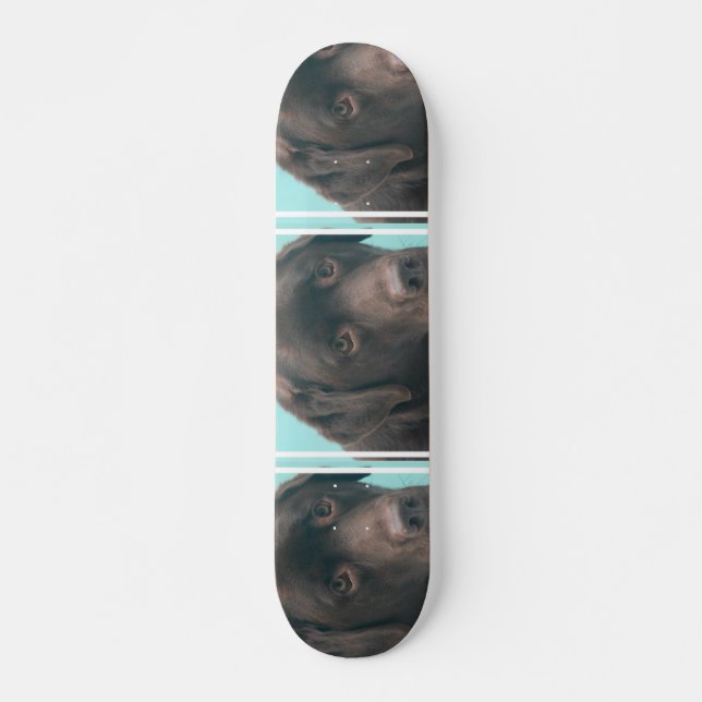Skateboard indefinido (Anverso )
