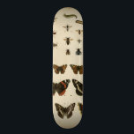 Skateboard Insectos de jardín por Vision Studio<br><div class="desc">¡Esta pieza de Vision Studio es un sueño de los entomólogos! Los insectos de los jardines se dibujan sobre un fondo crema,  con un detalle magnífico. Si te gustan los insectos,  ¡este es el papel para ti!</div>
