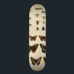 Skateboard Insectos de jardín por Vision Studio<br><div class="desc">¡Esta pieza de Vision Studio es un sueño de los entomólogos! Los insectos de los jardines se dibujan sobre un fondo crema,  con un detalle magnífico. Si te gustan los insectos,  ¡este es el papel para ti!</div>