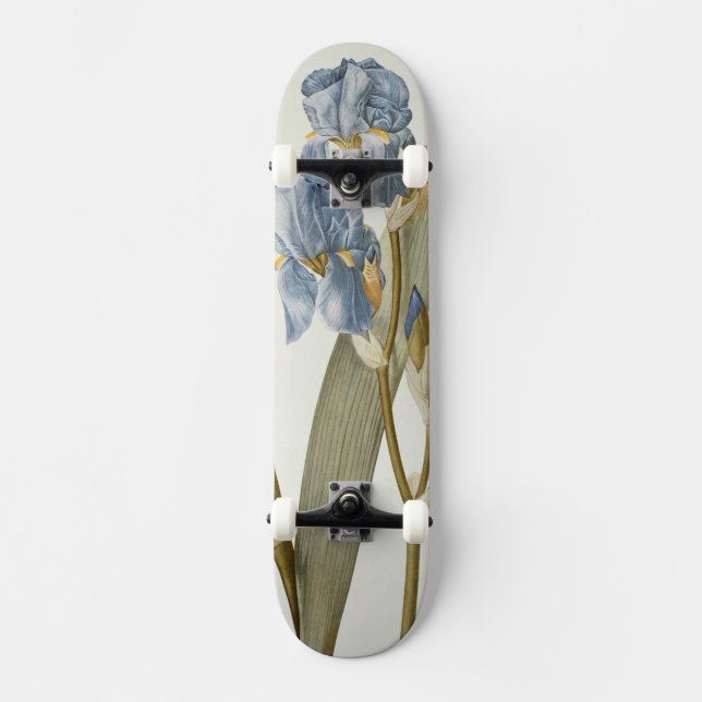 Skateboard Iris Pallida, de "Les Liliacees", 1812 (Anverso)