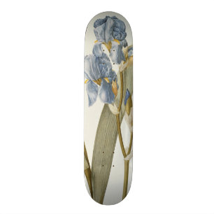 Skateboard Iris Pallida, de "Les Liliacees", 1812