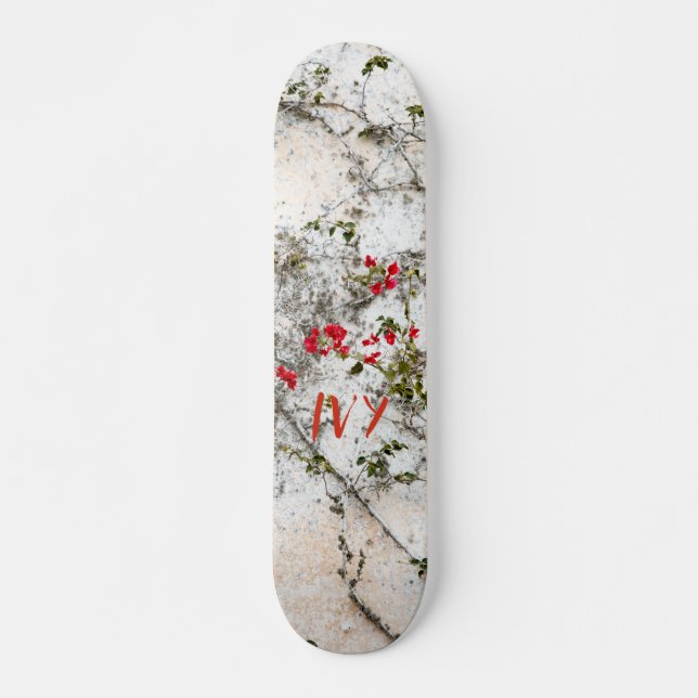 SKATEBOARD IVY (Anverso )